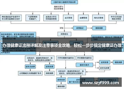 办理健康证流程详解及注意事项全攻略，轻松一步步搞定健康证办理